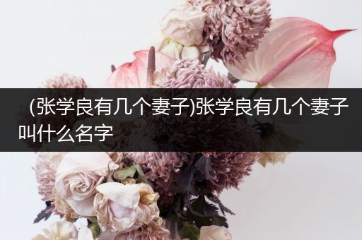 (张学良有几个妻子)张学良有几个妻子叫什么名字