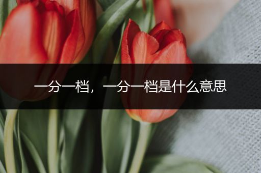 一分一档,一分一档是什么意思