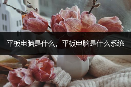 平板电脑是什么,平板电脑是什么系统