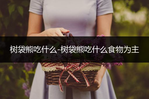 树袋熊吃什么-树袋熊吃什么食物为主