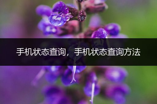 手机状态查询,手机状态查询方法