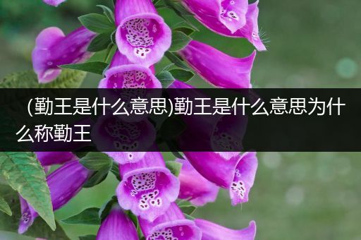 (勤王是什么意思)勤王是什么意思为什么称勤王