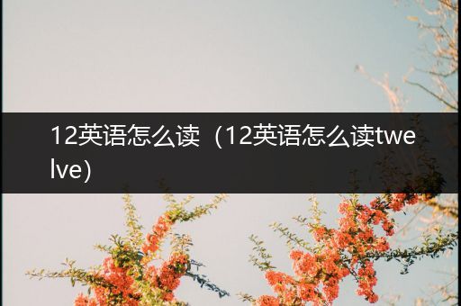 12英语怎么读(12英语怎么读twelve)