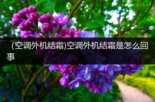 (空调外机结霜)空调外机结霜是怎么回事