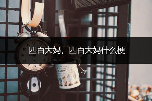 四百大妈,四百大妈什么梗