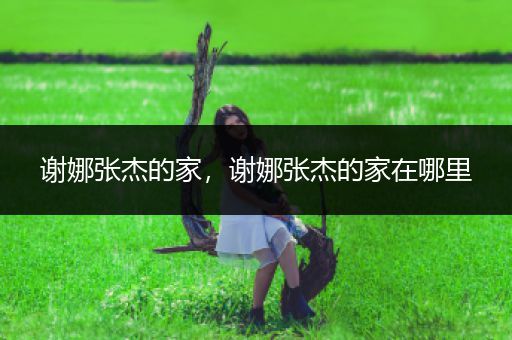 谢娜张杰的家,谢娜张杰的家在哪里