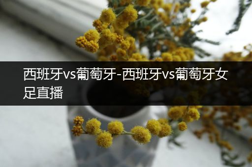 西班牙vs葡萄牙-西班牙vs葡萄牙女足直播