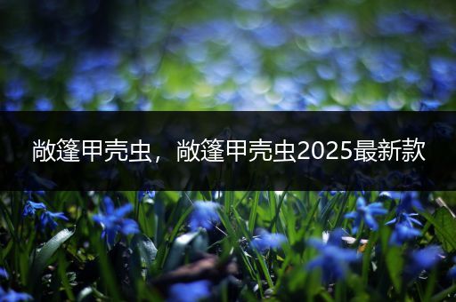 敞篷甲壳虫,敞篷甲壳虫2025最新款