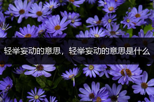 轻举妄动的意思,轻举妄动的意思是什么