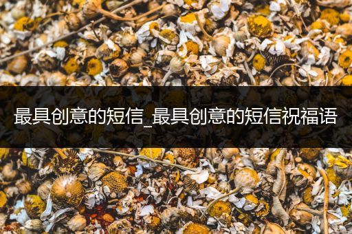 最具创意的短信_最具创意的短信祝福语