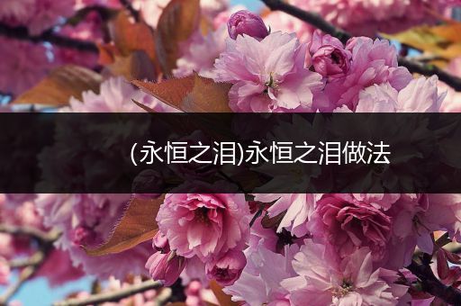 (永恒之泪)永恒之泪做法