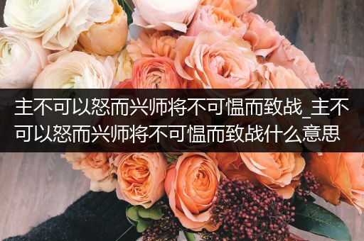 主不可以怒而兴师将不可愠而致战_主不可以怒而兴师将不可愠而致战什么意思