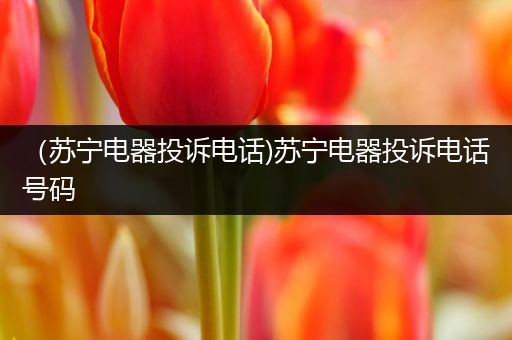 (苏宁电器投诉电话)苏宁电器投诉电话号码