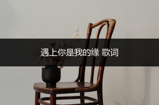 遇上你是我的缘 歌词