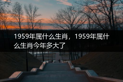 1959年属什么生肖,1959年属什么生肖今年多大了
