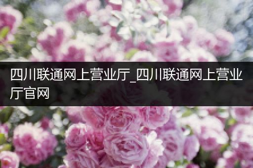 四川联通网上营业厅_四川联通网上营业厅官网