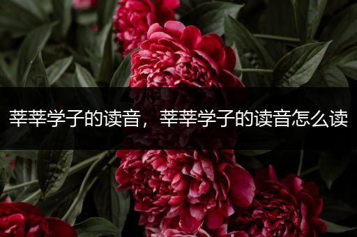 莘莘学子的读音,莘莘学子的读音怎么读
