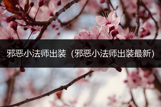 邪恶小法师出装(邪恶小法师出装最新)