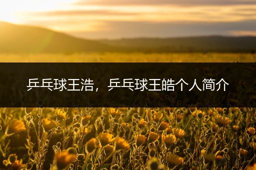 乒乓球王浩,乒乓球王皓个人简介