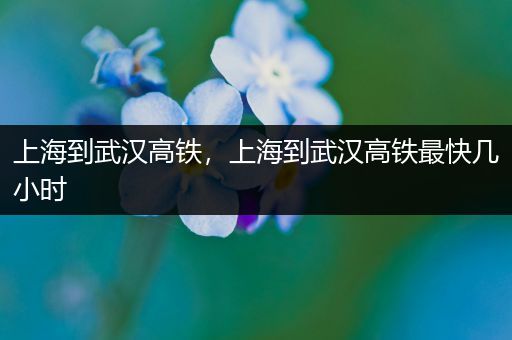 上海到武汉高铁,上海到武汉高铁最快几小时