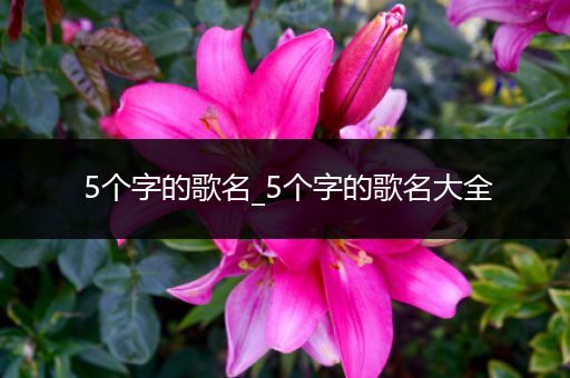 5个字的歌名_5个字的歌名大全