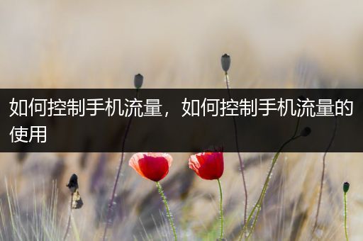 如何控制手机流量,如何控制手机流量的使用