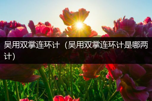 吴用双掌连环计(吴用双掌连环计是哪两计)