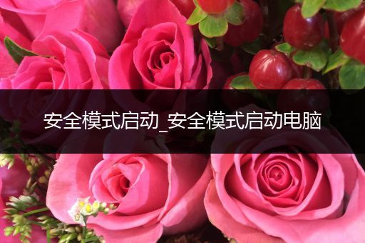 安全模式启动_安全模式启动电脑