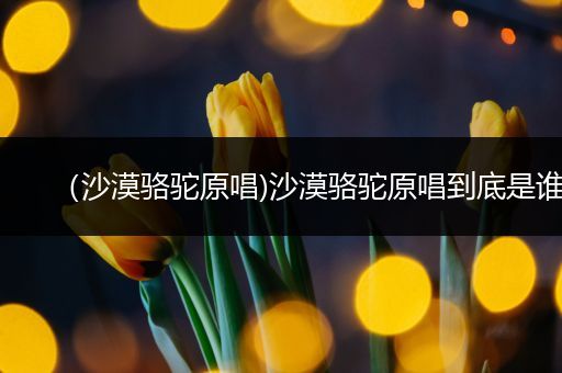 (沙漠骆驼原唱)沙漠骆驼原唱到底是谁