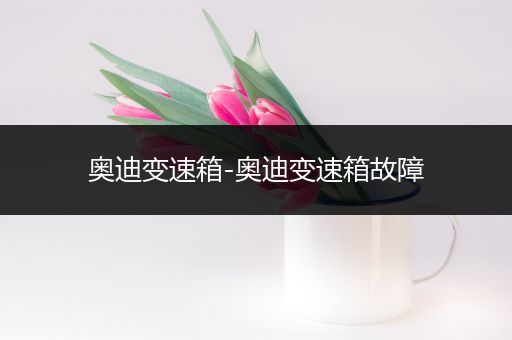 奥迪变速箱-奥迪变速箱故障