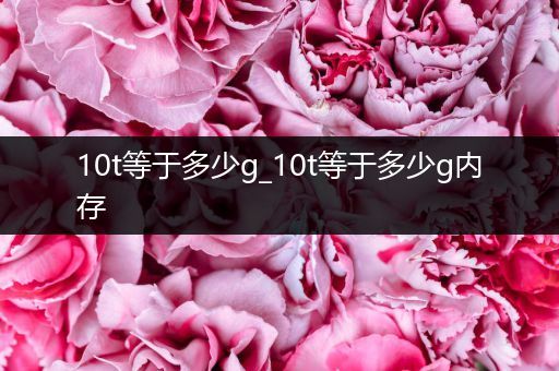 10t等于多少g_10t等于多少g内存