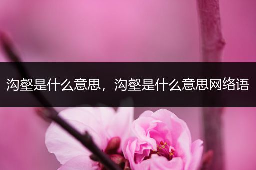 沟壑是什么意思,沟壑是什么意思网络语