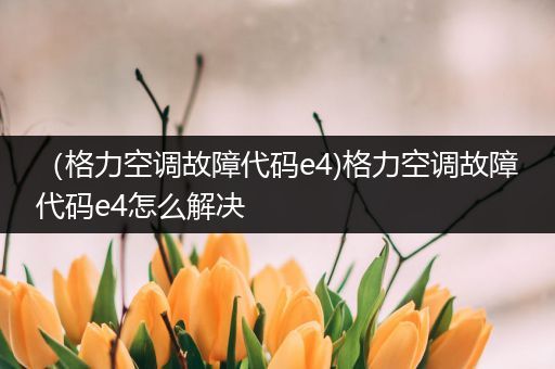 (格力空调故障代码e4)格力空调故障代码e4怎么解决