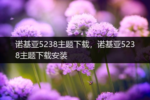 诺基亚5238主题下载,诺基亚5238主题下载安装