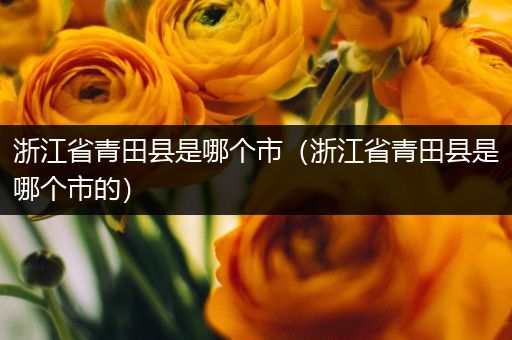 浙江省青田县是哪个市(浙江省青田县是哪个市的)