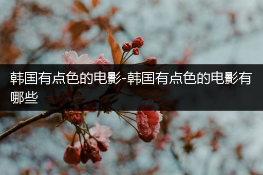 韩国有点色的电影-韩国有点色的电影有哪些