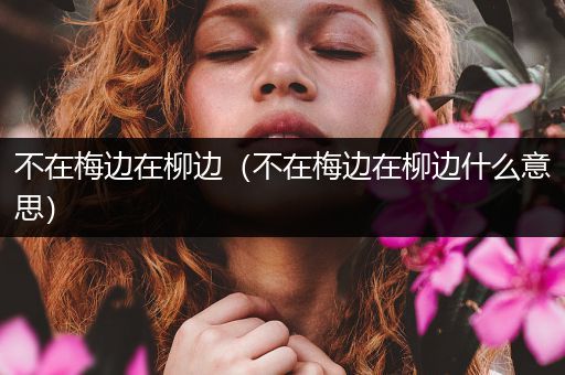 不在梅边在柳边(不在梅边在柳边什么意思)