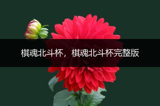 棋魂北斗杯,棋魂北斗杯完整版