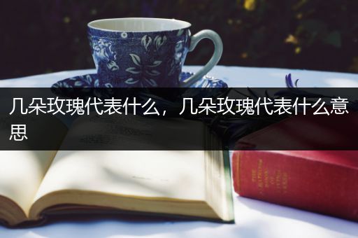 几朵玫瑰代表什么,几朵玫瑰代表什么意思