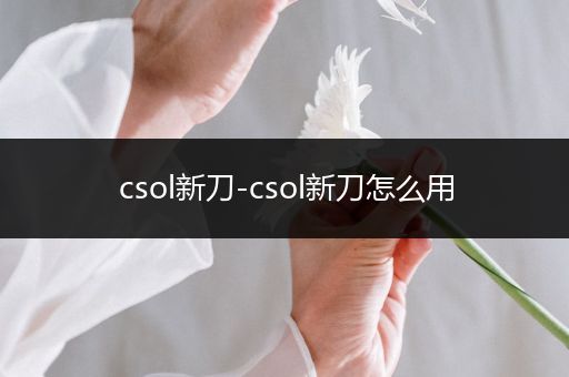 csol新刀-csol新刀怎么用
