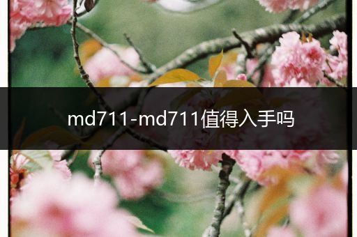 md711-md711值得入手吗