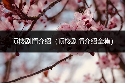 顶楼剧情介绍(顶楼剧情介绍全集)