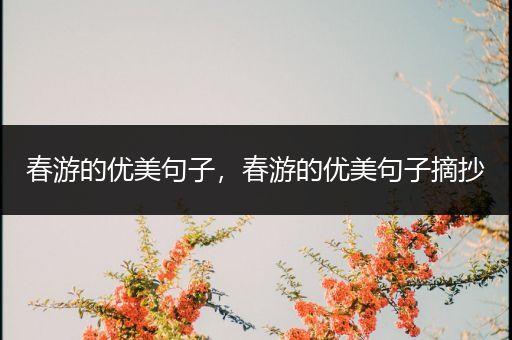 春游的优美句子,春游的优美句子摘抄