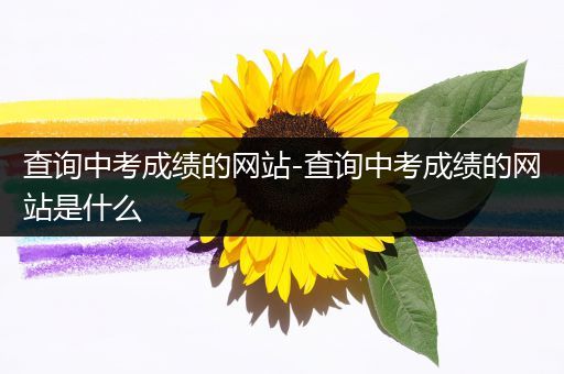 查询中考成绩的网站-查询中考成绩的网站是什么