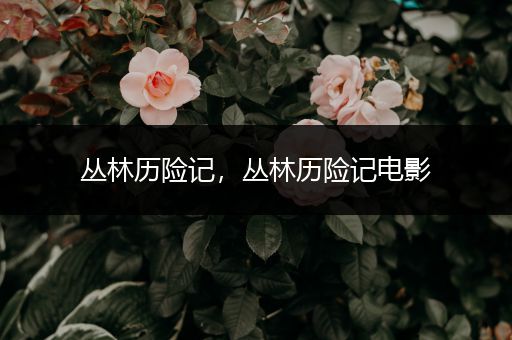 丛林历险记,丛林历险记电影