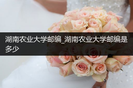 湖南农业大学邮编_湖南农业大学邮编是多少