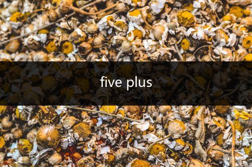 five plus