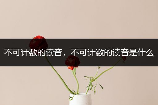 不可计数的读音,不可计数的读音是什么