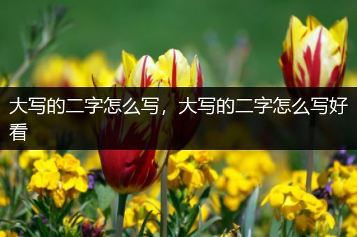 大写的二字怎么写,大写的二字怎么写好看