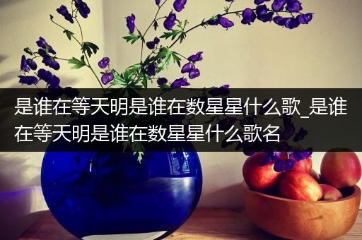 是谁在等天明是谁在数星星什么歌_是谁在等天明是谁在数星星什么歌名